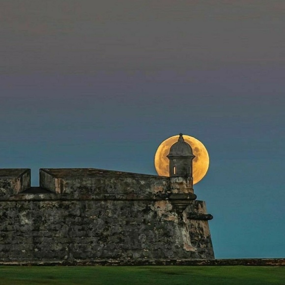 Meet your Posher, Mara - Picture 1 of 1